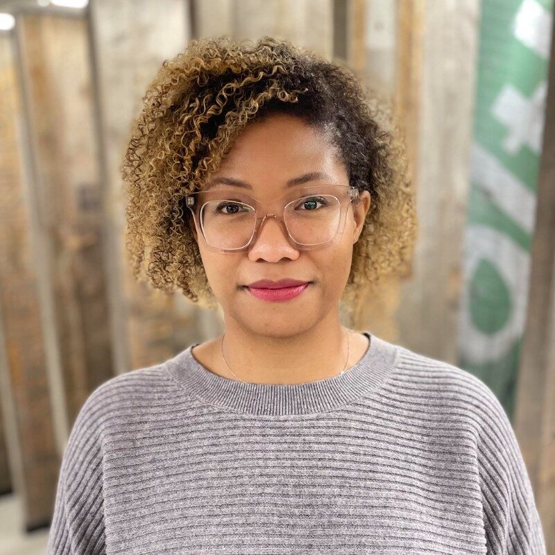 Warhol and the Bounds of Fair Use IPLAC IPLAC